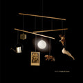 Beirut - Study Of Losses - Music CD