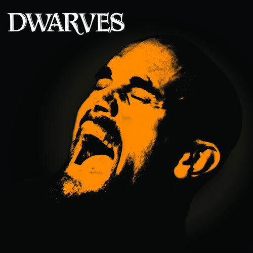Dwarves - Rex Everything - Vinyl Record