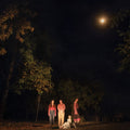 Ophelias - Spring Grove [Colored Vinyl] (Grn) [Indie Exclusive]