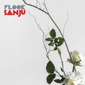 Flook - Sanju - Vinyl Record