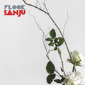 Sanju (Uk) [LP] Vinyl Record
