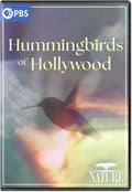 Nature: Hummingbirds Of Hollywood - Nature: Hummingbirds Of Hollywood - DVD