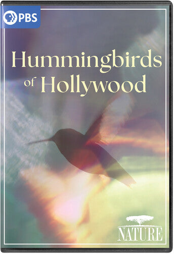 Nature: Hummingbirds Of Hollywood - Nature: Hummingbirds Of Hollywood - DVD