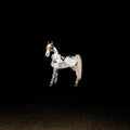 Triathalon - Funeral Music - White [Colored Vinyl] [180 Gram] (Post) (Wht)