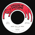 Where Did I Go Wrong B/W Family [7" Vinyl] Vinyl Record