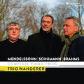 Mendelssohn Schumann & Brahms: Complete Piano Trio Music CD