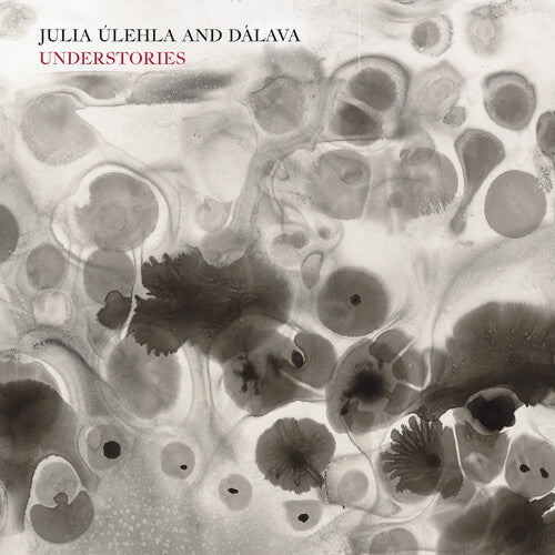 Ulehla,julia & Dalava - Understories - Music CD