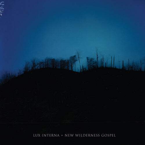 Lux Interna - New Wilderness Gospel - Music CD