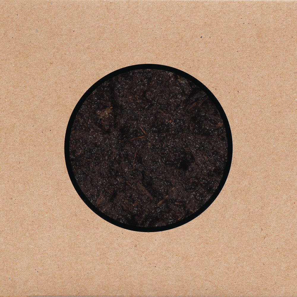 Swans - Birthing [LP]