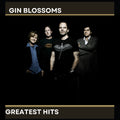 Gin Blossoms' Greatest Hits (Mod) Music CD