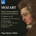 Nguyen,tung - Piano Transcriptions Of Orchestral Dances - Music CD