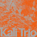 Loher / Muller - Playful Abstract - Vinyl Record