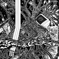 JACK Quartet - Escape Rites [CD]