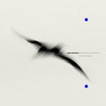 Tiersen,yann - Rathlin From A Distance / The Liquid Hour - Vinyl Record