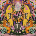 Fvzz Popvli - Melting Pop - Vinyl Record