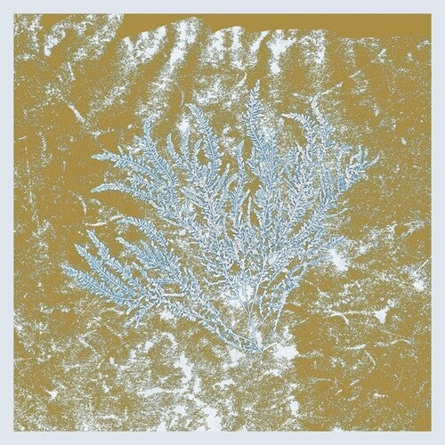 Huerco S - For Those Of You Who Have Never - Vinyl Record