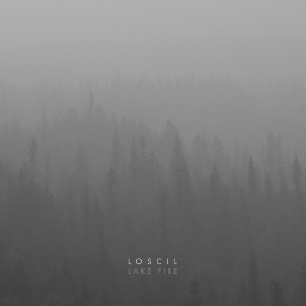 Lake Fire [LP] Vinyl Record