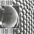 Demos (Uk) [LP] Vinyl Record