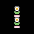 Lottery Winners - Koko - Music CD