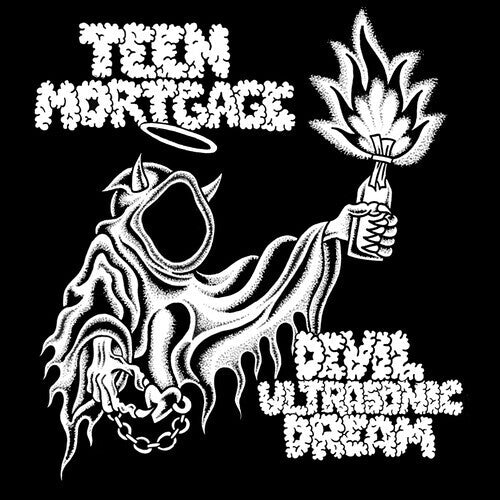 Teen Mortgage - Devil Ultrasonic Dream - Vinyl Record