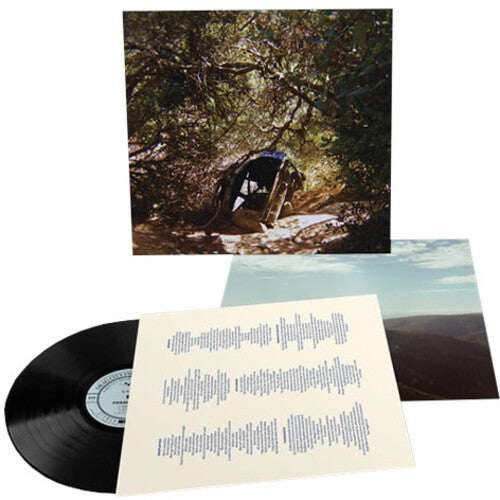 Segall,ty - Possession - Vinyl Record