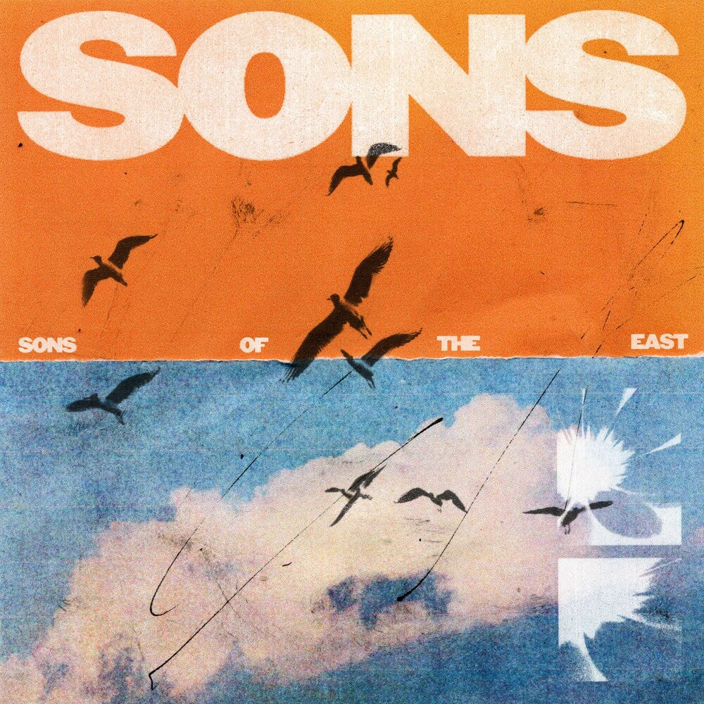 Sons [LP] Vinyl Record