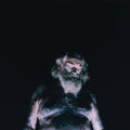 Nothing - The Great Dismal [LP]