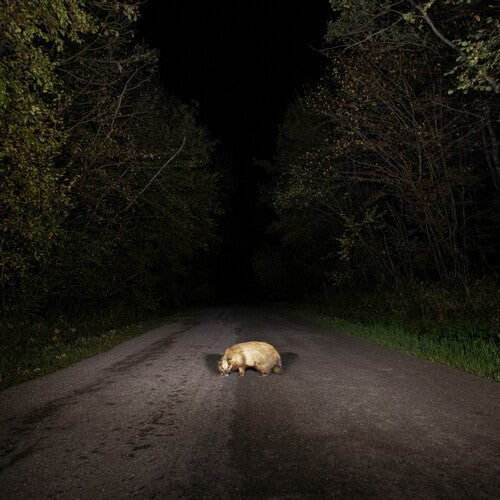 Stonks - Badger - Music CD