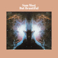 Most,sam - But Beautiful - Music CD