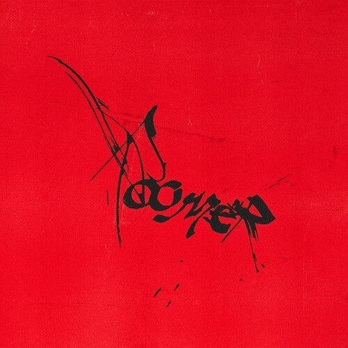 Roomer - Leaving It All To Chance - Vinyl Record