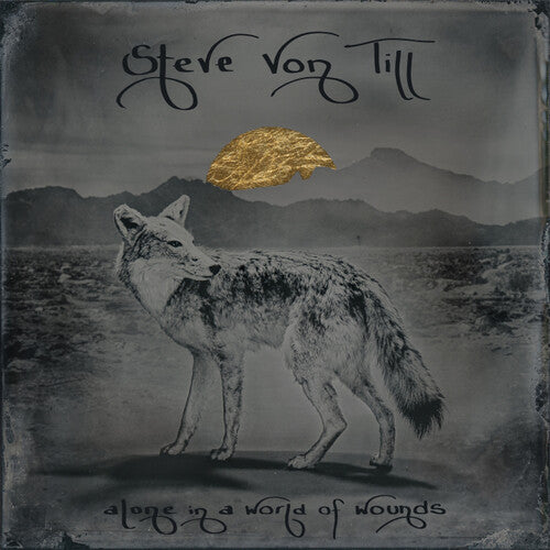 Von Till,steve - Alone In A World Of Wounds - Vinyl Record