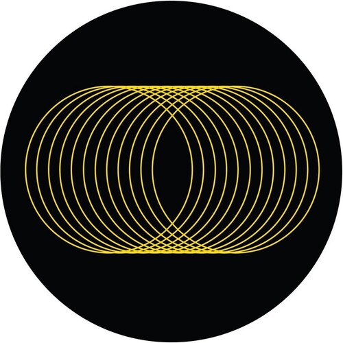 Mita Gami & Erez - Where's My Voice - Vinyl Record