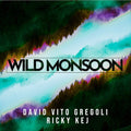 Gregoli,david Vito / Kej,ricky - Wild Monsoon - Music CD