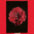 Thousand Years In Another Way [LP] Vinyl Record