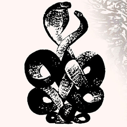 Bardo Pond - Volume 4 & 5 - Vinyl Record