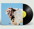 Sexy Zebras - Bravo - Vinyl Record