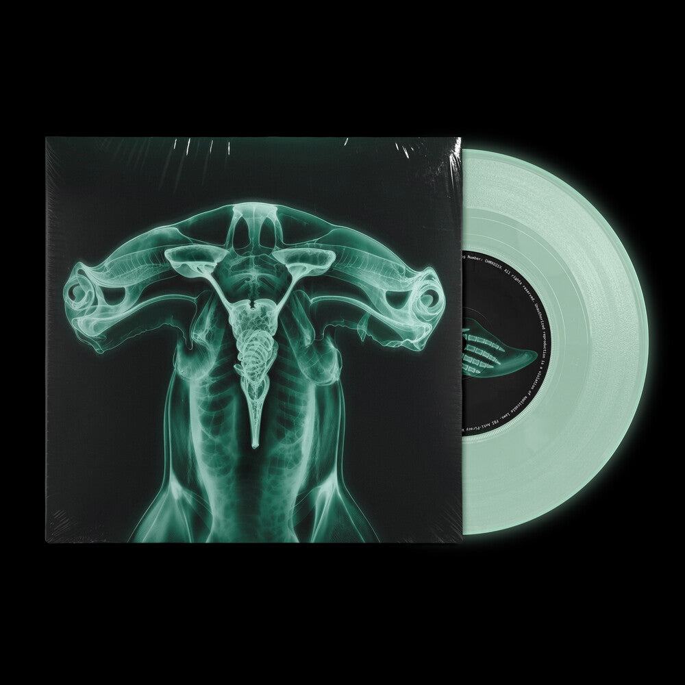 Shark Brain / Dolphin [Colored Vinyl] Vinyl Record