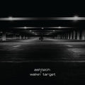 Ashtech - Walkin' Target - Vinyl Record