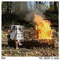 Pup - Dream Is Over - Vinyl Record