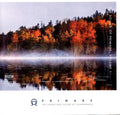 Sound Of Primare Volume 1 / Various - Sound Of Primare Volume 1 / Various - Vinyl Record
