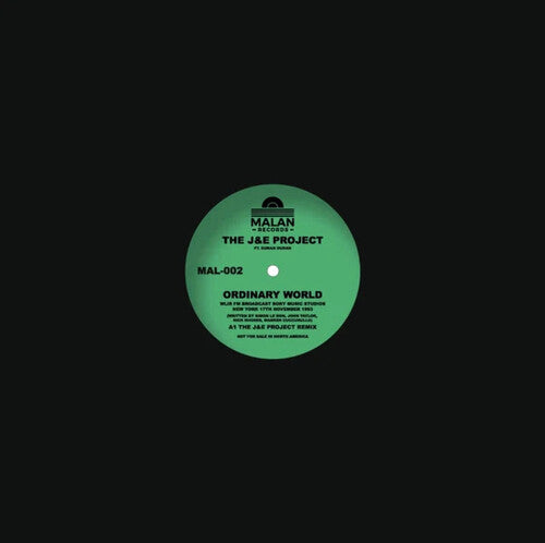 J&e Project - Ordinary World - Vinyl Record