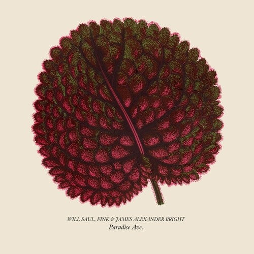 Saul,will / Fink / Bright,james Alexander - Paradise Ave - Vinyl Record