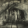 Night In The Ruts - SHM-Paper Sleeve Music CD