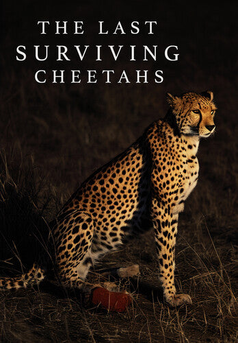 Last Surviving Cheetahs - Last Surviving Cheetahs - DVD