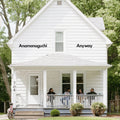 Anyway [Colored Red & Black Vinyl] [Download Included] Vinyl Record