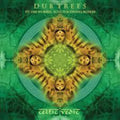Celtic Vedic [Colored Vinyl] (Uk) Vinyl Record