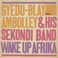 Ambolley,gyedu-blay - Wake Up Afrika - Vinyl Record