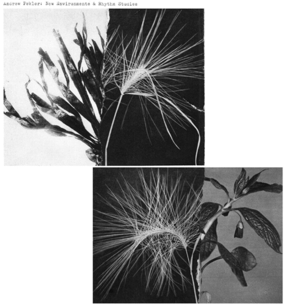 New Environments And Rhythm Studies [LP] Vinyl Record