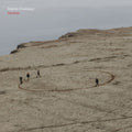 Sunwise [LP] Vinyl Record