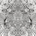 Fyr [Digipak]